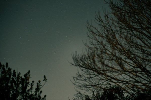 Night Sky