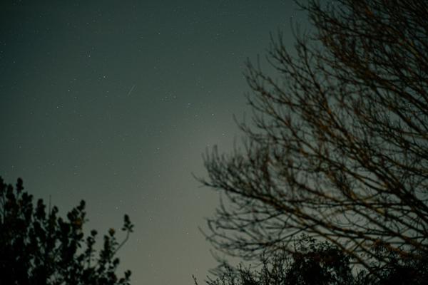 Night Sky 2021