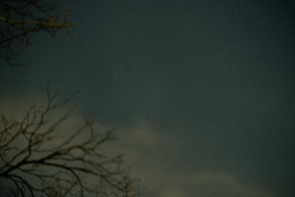 Night Sky 2021