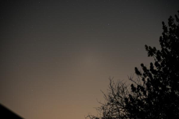 Night Sky 2021