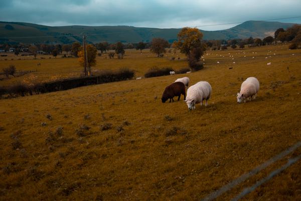 Peak District 2021