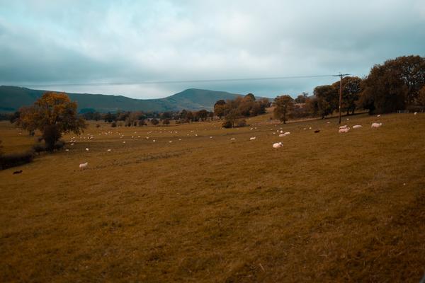 Peak District 2021