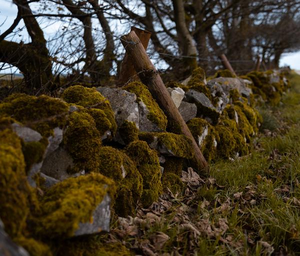 Peak District 2021