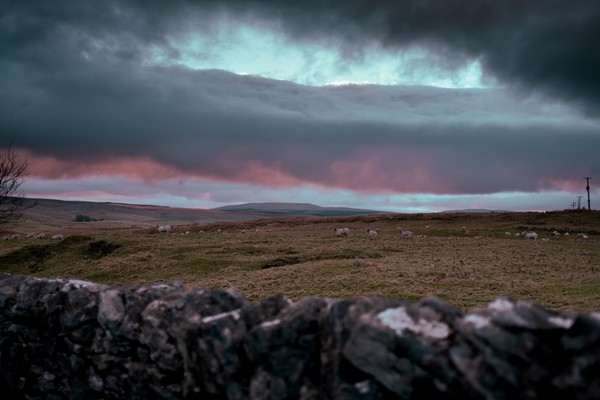 Yorkshire Dales